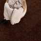 Heavenly Solid Brown Plush Rug - Clearance